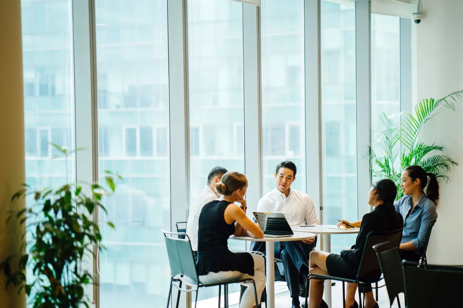 business meeting, happening near some windows, modern office